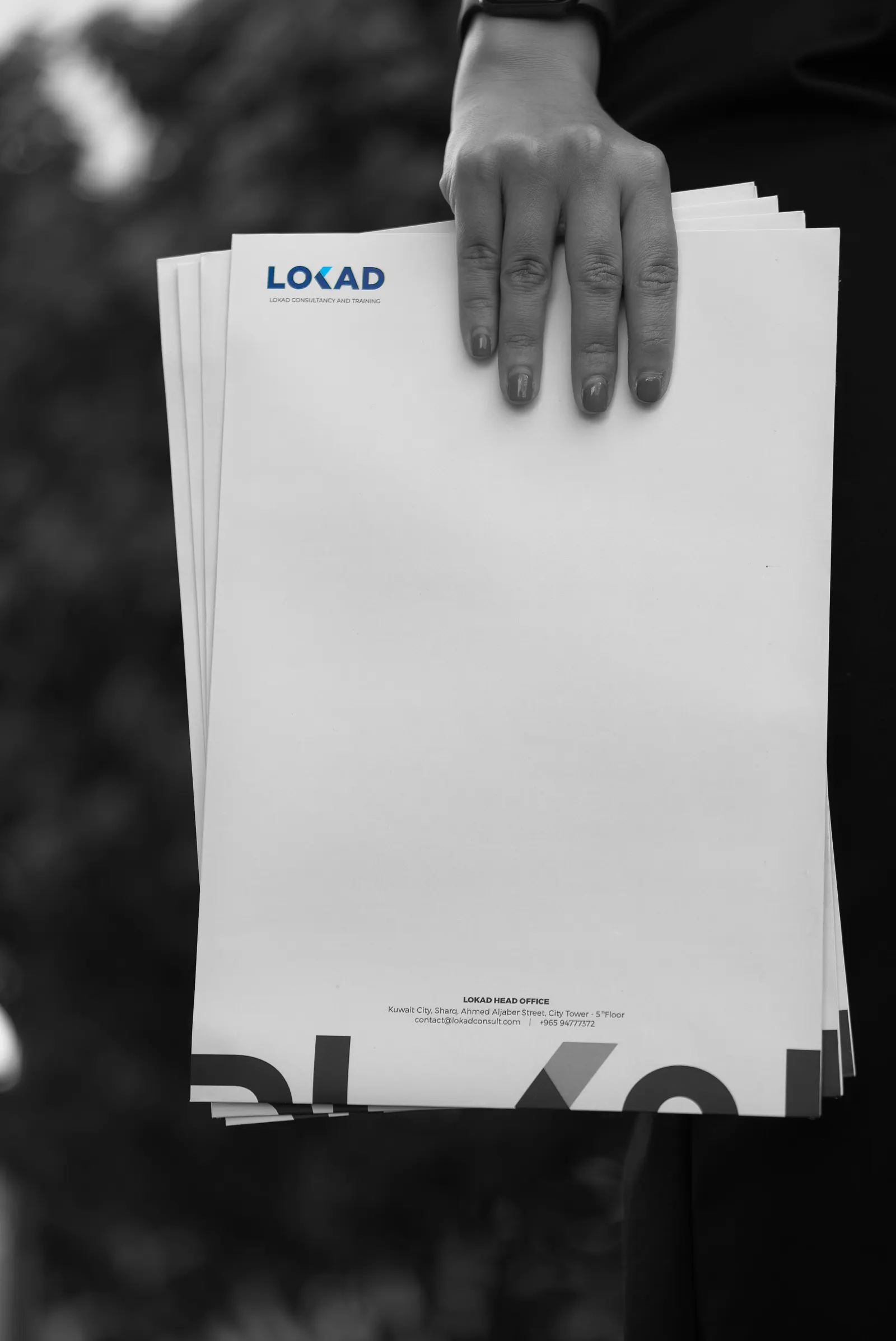 Fractional marketing advisor: LOKAD