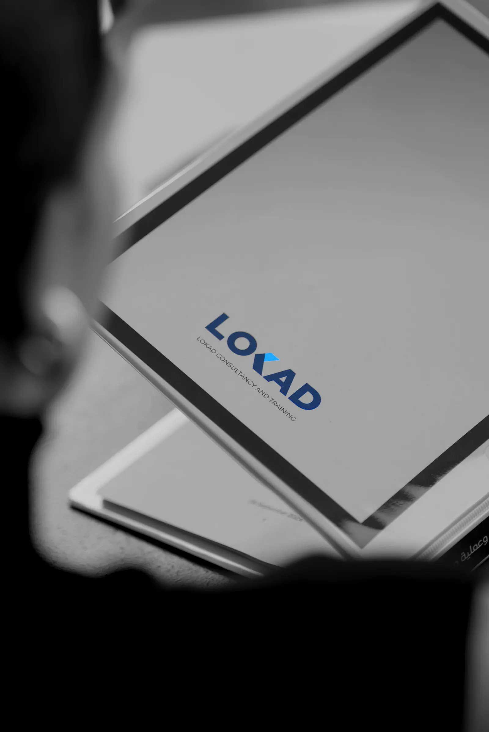 Marketing strategy and 90 day roadmap: LOKAD